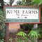 Kumu Farms, Moloka'i October 2009