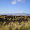 Kailua-Kona, Big Island, Hawaii - View of Hualalai Volcano across lava fields