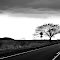 Waikoloa road, Waikola, Hawaii