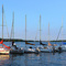 Sailboats On Decatur Lake