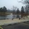 Fairview Park