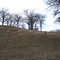 Greenwood Cemetery