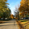Sadowski Court in the Fall