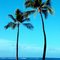 Twin Palms...