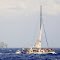Oahu, HAWAII - Catamaran in very rough waters off Honolulu Harbor viewed from cruise ship