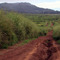Lanai Jeep Road