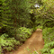Munro Trail