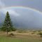 Rainbow near Lanai City, Lanai, Hawaii