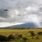 Kahalui Airport – Maui, Hawaii