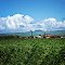 C&H Cane & Sugar Mill on Maui Hawaii