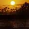 The tropics