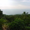 Hawi
