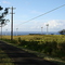 Wind Farm at Upolu