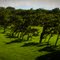 Big Island Hawaii