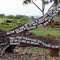 Sign, Lapakahi Historical Park, Kohala Coast, Hawai'i