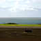 Upolu Airport Runway Marker