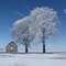 Winter 2010 just east of Philo, IL