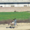 jandala jhelum