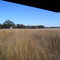 Humiston Woods Prairie