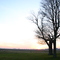 Illinois Sunset