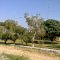 Pumping Staion Parco in Rajan Pur.