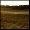 Pola niedaleko Czaplinka