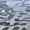 Fishing Camps south of houma