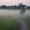 Wieczorne mgły   - Evening fog