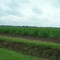 Irish Bend, LA