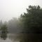 Lake Fausse Fog
