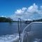 Atchafalaya Basin 2010