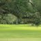 Spanish Moss