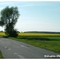 Przy drodze