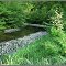 Bełcz Wielki. The Palace moat.