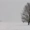  Kietlów - An Ode to WHITE...  *YS*