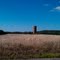Old silo.