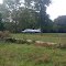 Lear 23 in front yard