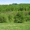 Panorama / Panoramio