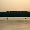 Ducks at Sunrise