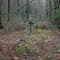 Krzyz w lesie (Cross in the woods - Kulesze Koscielne, 2011-11-22)