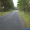 The road from Grodzisk to Kąkolewo