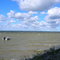 norwood campground, black lake state forest campground