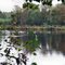 Black Lake, Lindow Common.