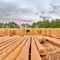 (M)Ein Naturstammhaus wird gebaut!