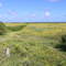 Green Island