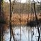 Assabet Nat'l Wildlife Refuge