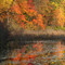 Broadmoor Reserve