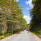 Pine Creek Gorge Trail