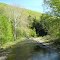 Babb Creek at Blackwell