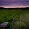Salt Marsh behind Woodman's
